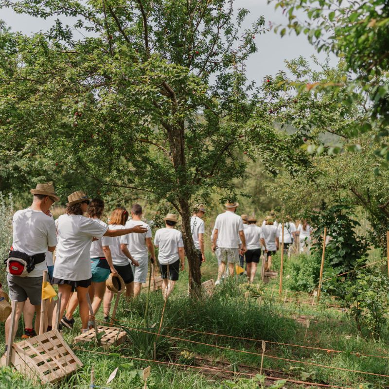 Evènement au domaine de Chabotte en Drôme